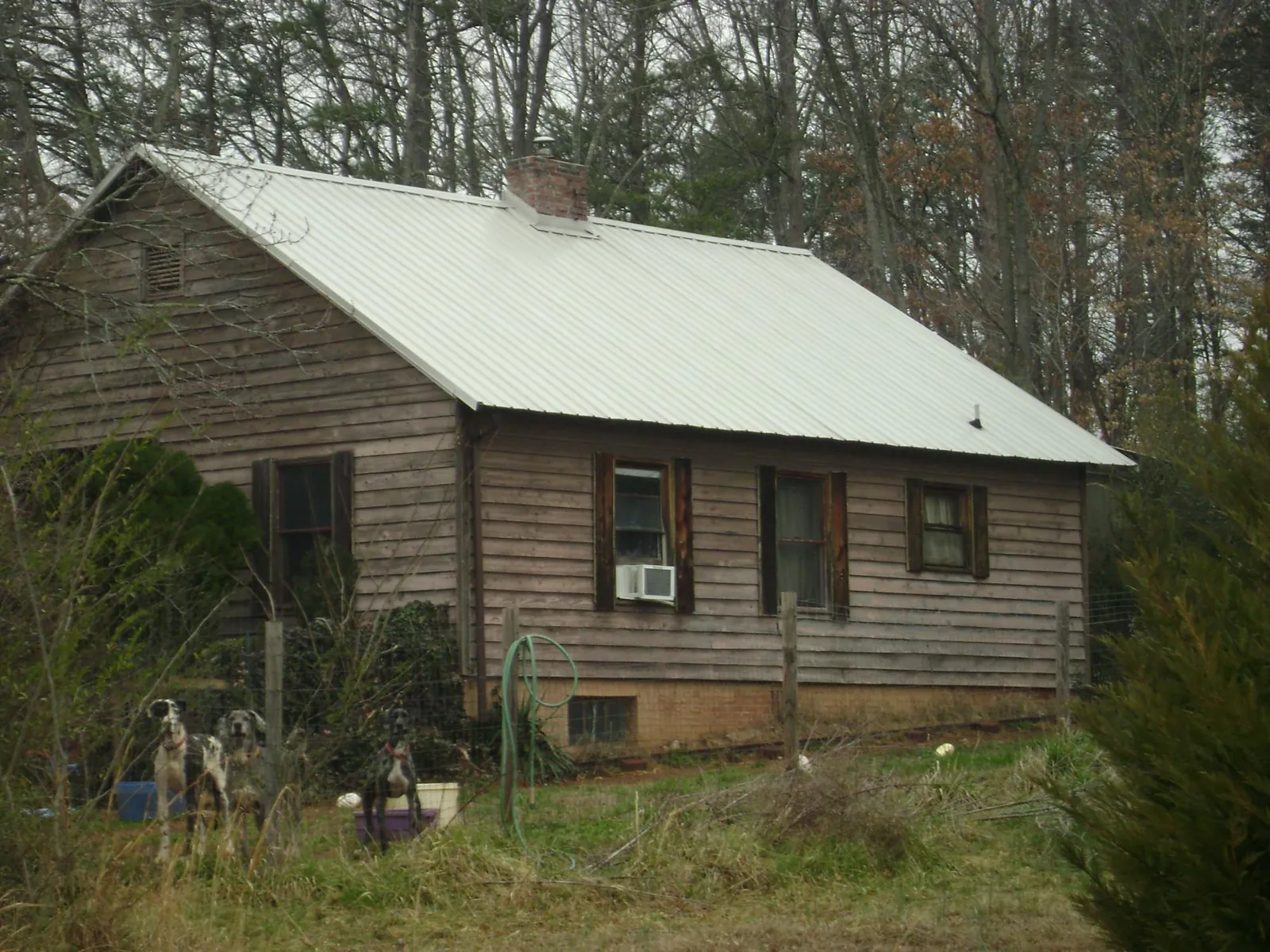 White metal roof on an old wood sided farmhouse, from a Metal Roof Installation job in Courtenay